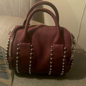 Alexander Wang small bag like brand new only carry three times comes with duster
